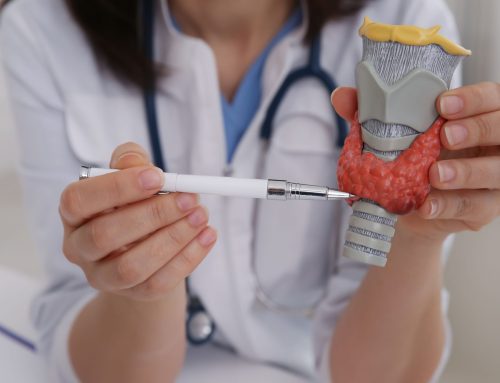 How Thyroid Disorders Affect Fertility: The Critical Role of Thyroid Health in Conception